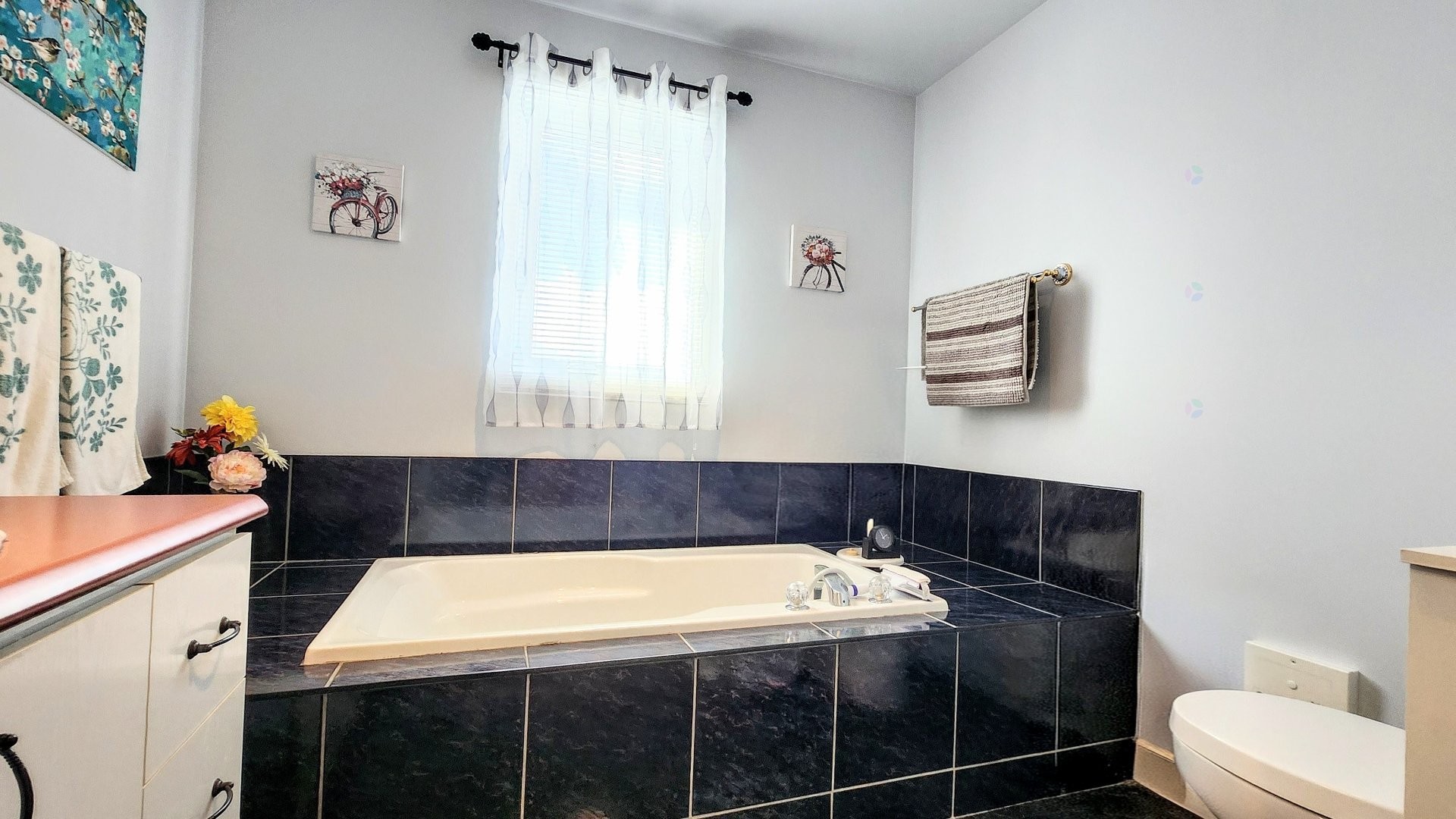 









3875


Rue Philibert-Dumas

,
Shawinigan,




QC
G9P5E6

