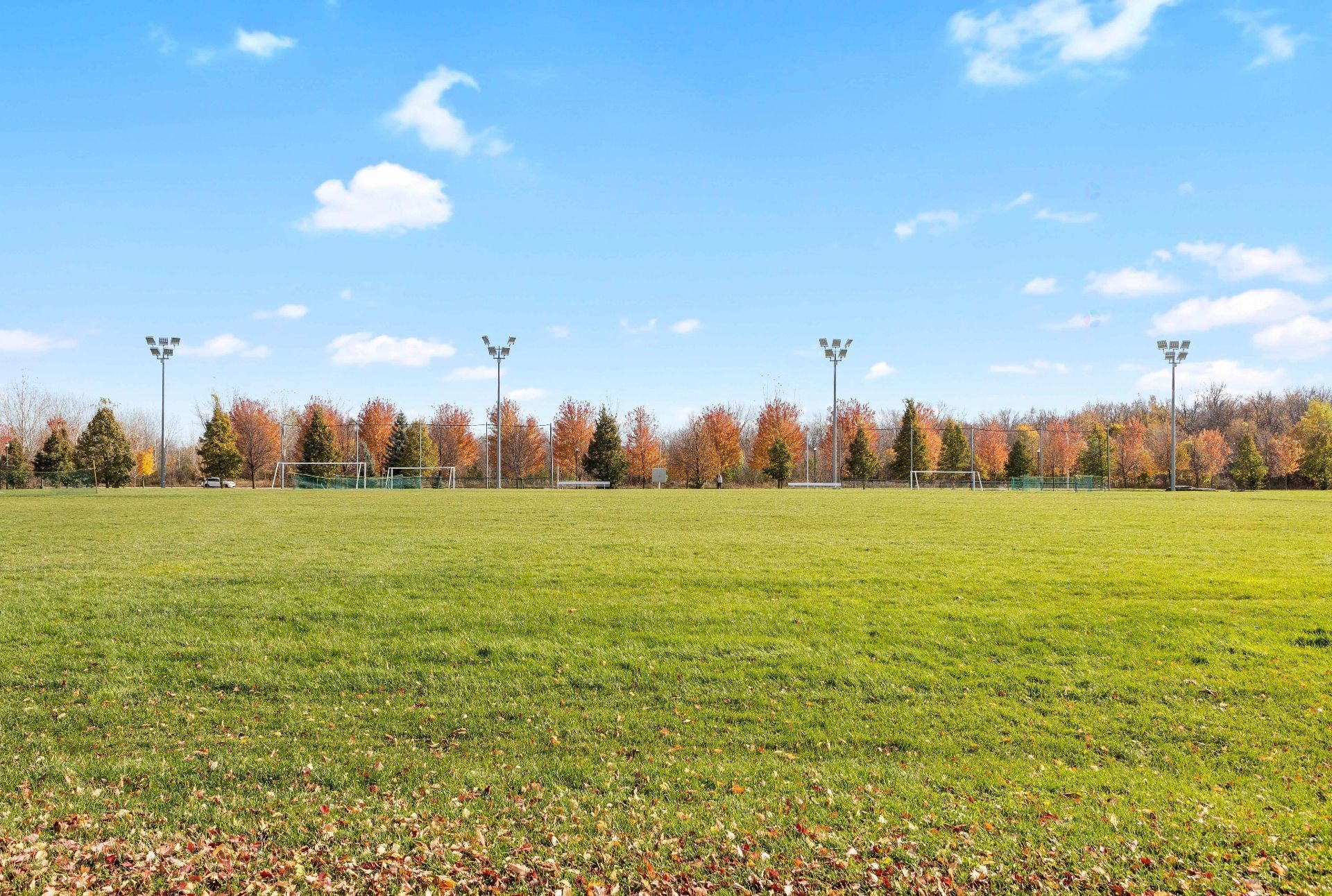 









3075


Av. Ernest-Hemingway

, 101,
Montréal (Saint-Laurent),




QC
H4R0A7

