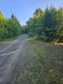 Street