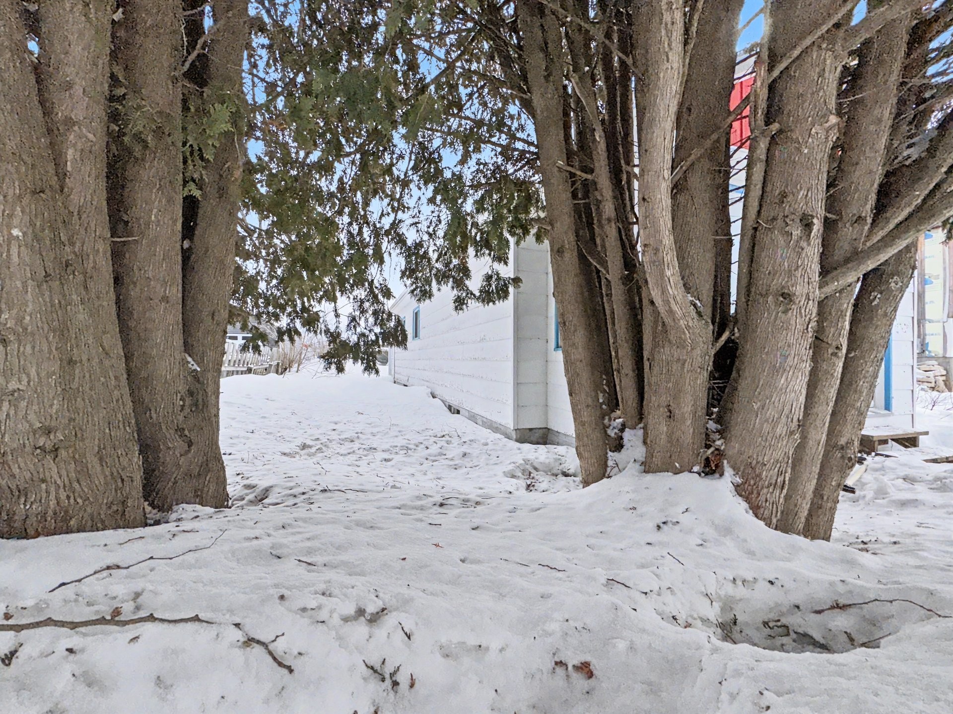 









12


3e Avenue E.

,
Rouyn-Noranda,




QC
J0Y1C0

