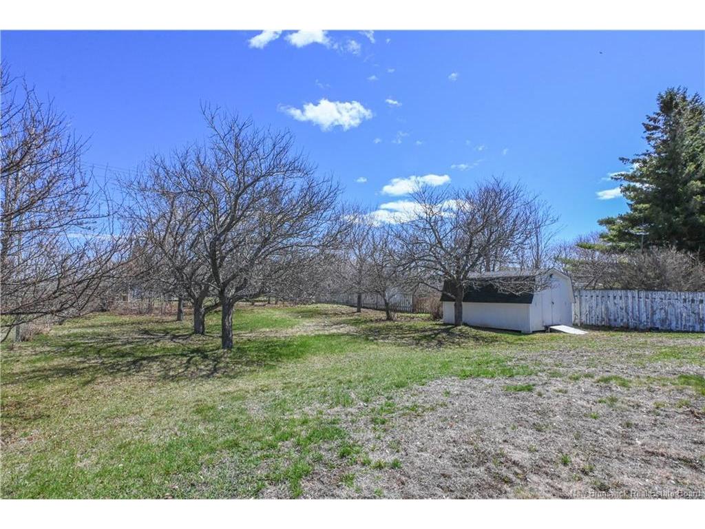 









148


des Pins

ST,
Shippagan,




NB
E8S 1K2

