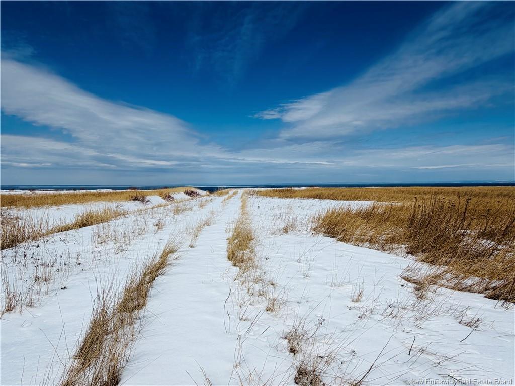 









6585


Route 11

,
Clifton,




NB
E2A 5L7

