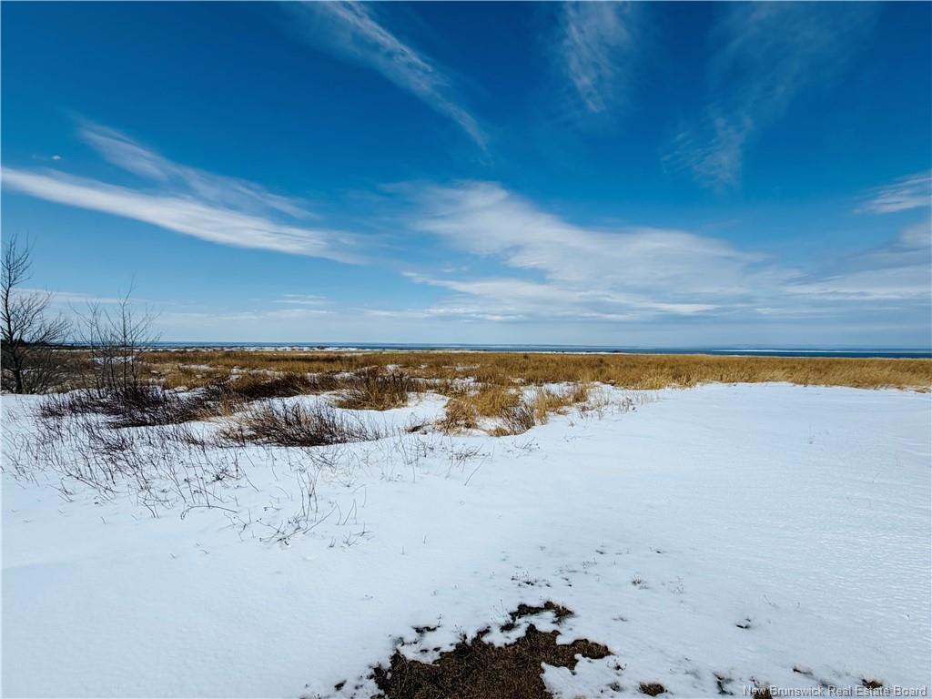 









6585


Route 11

,
Clifton,




NB
E2A 5L7

