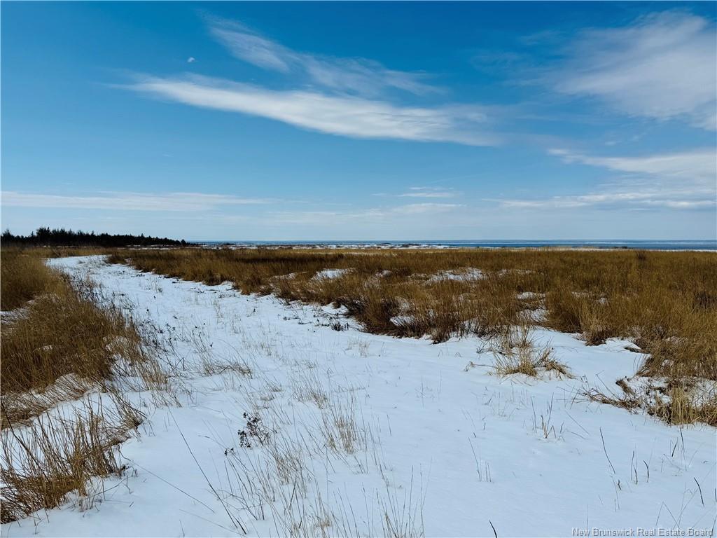 









6585


Route 11

,
Clifton,




NB
E2A 5L7

