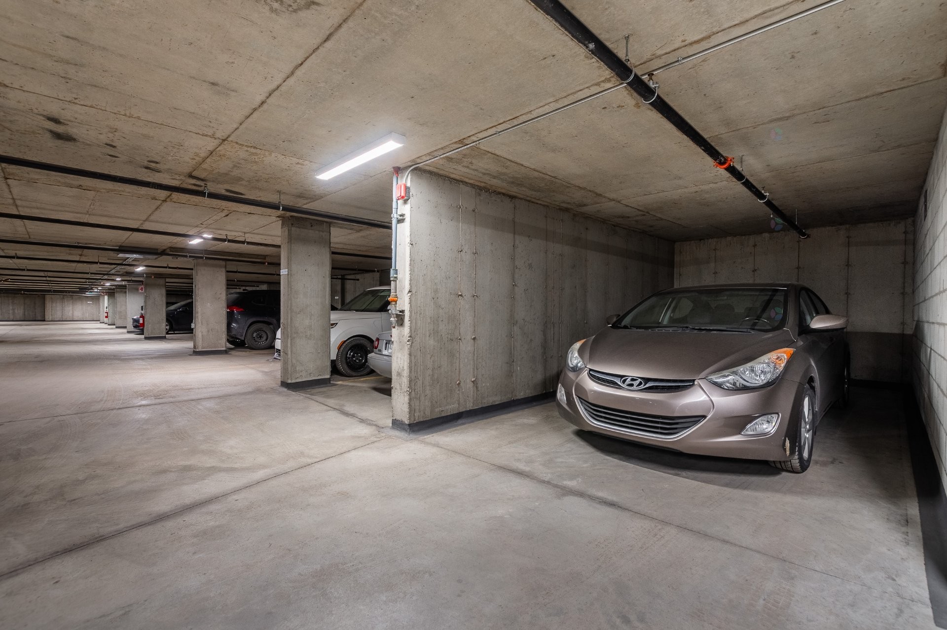 









2530


Rue Maurice-Savoie

, 503,
Longueuil (Le Vieux-Longueuil),




QC
J4N0K2

