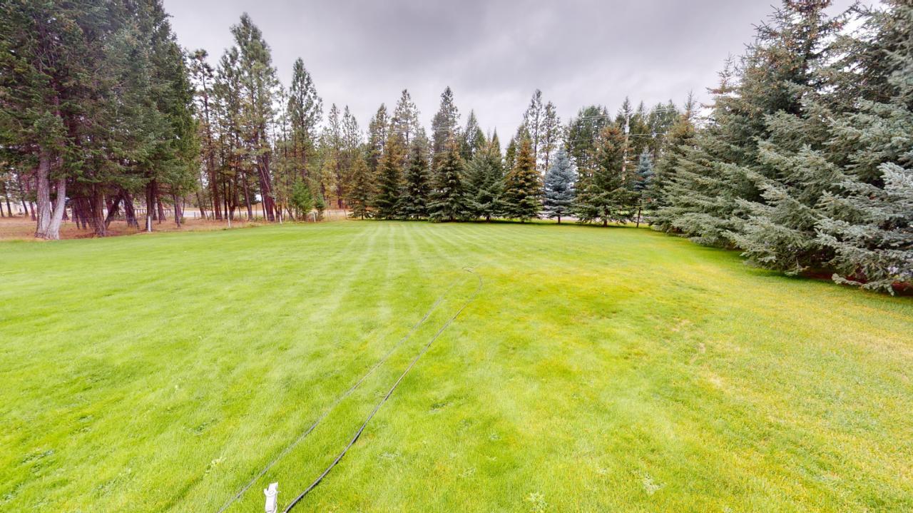 









6006


WOLF CREEK

Road,
Wasa,




BC
V0B 2K0

