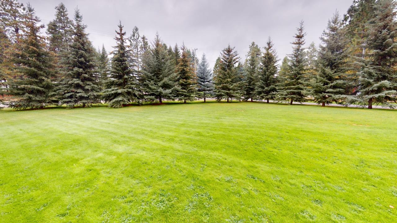 









6006


WOLF CREEK

Road,
Wasa,




BC
V0B 2K0


