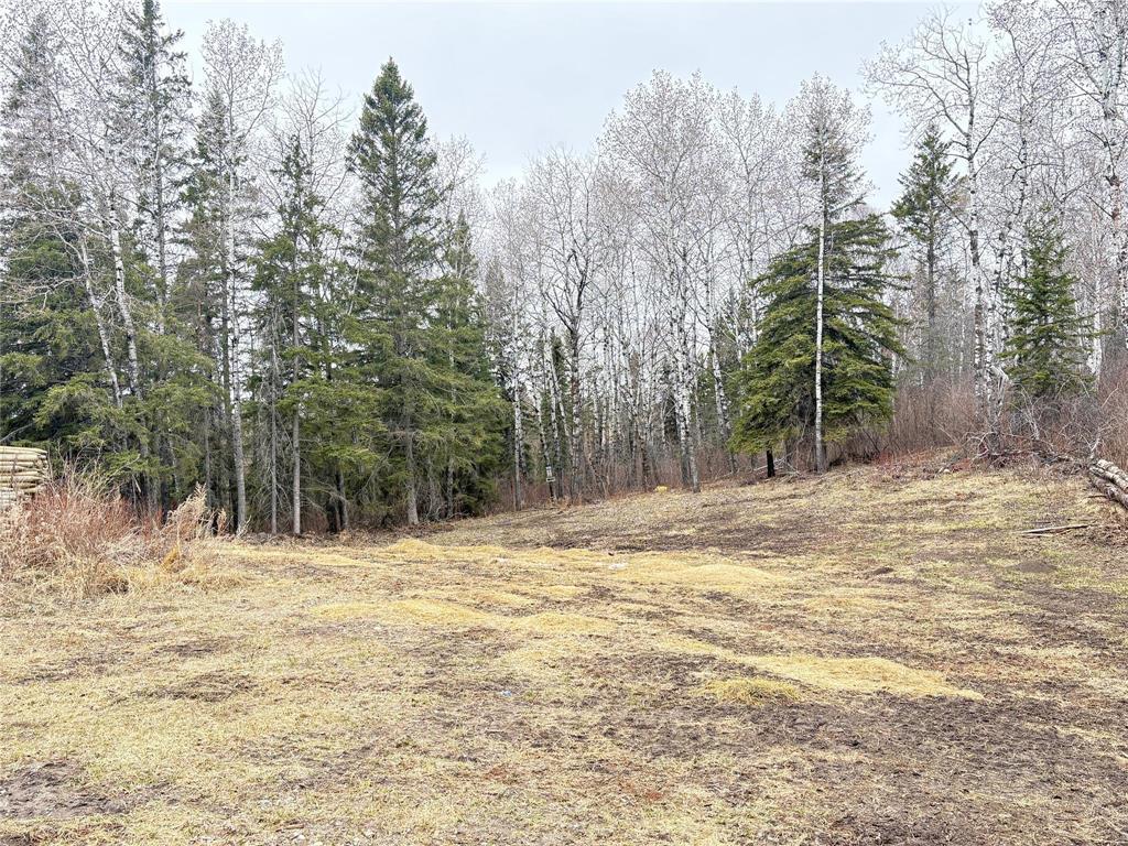 












113020 126 Road W

,
Horod,




Manitoba
R0J1N0

