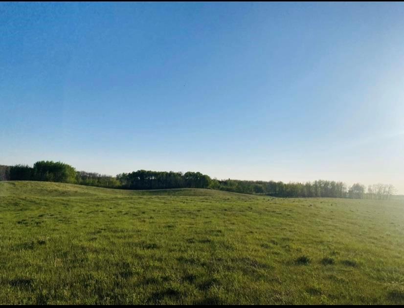 












113020 126 Road W

,
Horod,




Manitoba
R0J1N0

