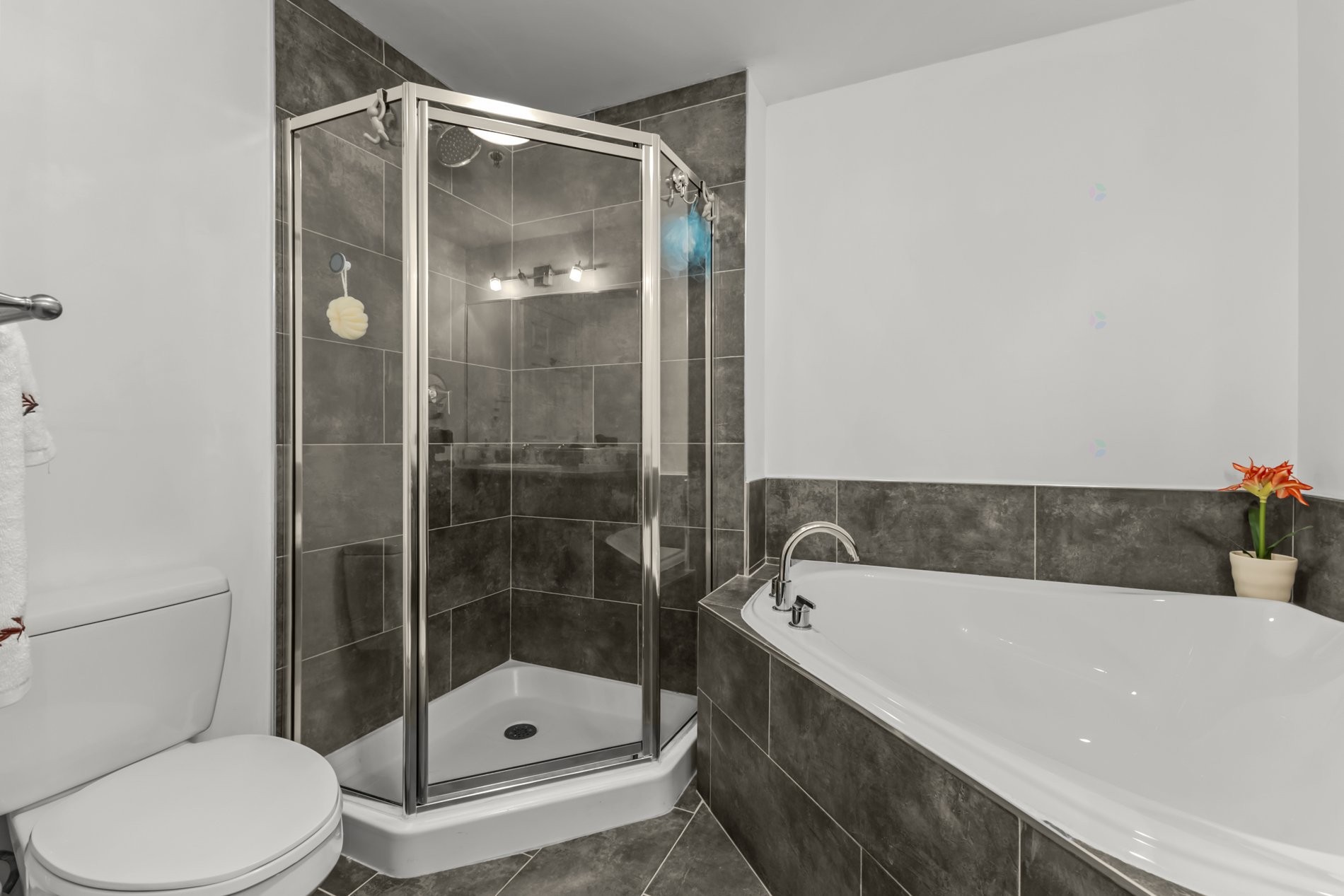 









6850


Boul. Henri-Bourassa O.

, 102,
Montréal (Saint-Laurent),




QC
H4R0E2

