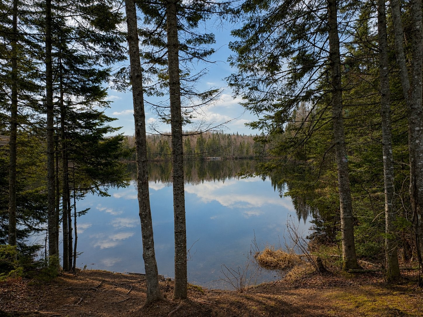 









1713


Ch. du Lac-Amico

,
Sainte-Lucie-des-Laurentides,




QC
J0T2J0

