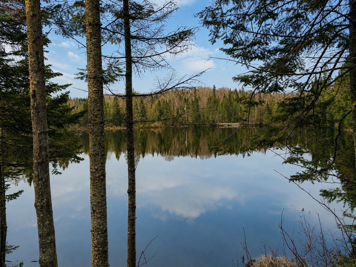 









1713


Ch. du Lac-Amico

,
Sainte-Lucie-des-Laurentides,




QC
J0T2J0

