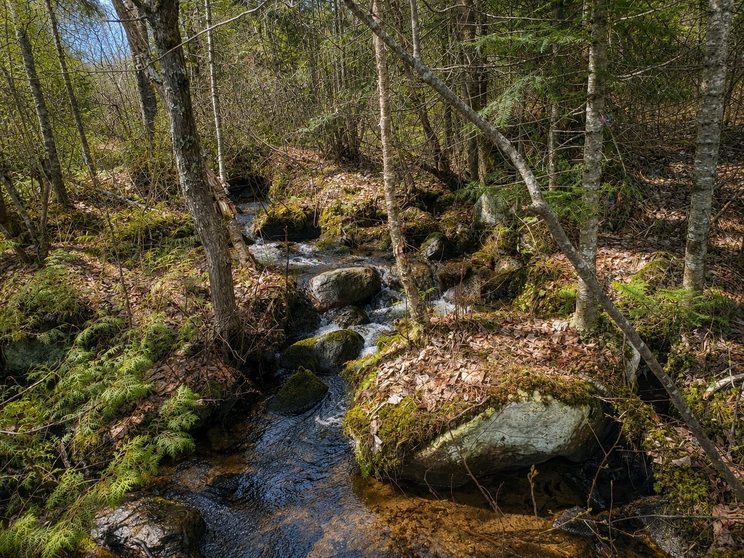 









1713


Ch. du Lac-Amico

,
Sainte-Lucie-des-Laurentides,




QC
J0T2J0

