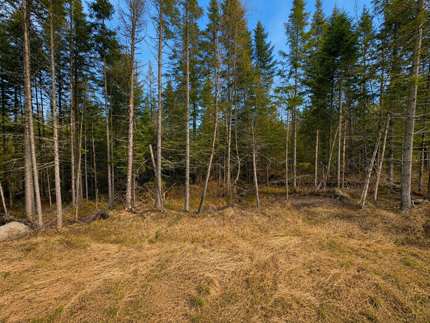 









1713


Ch. du Lac-Amico

,
Sainte-Lucie-des-Laurentides,




QC
J0T2J0

