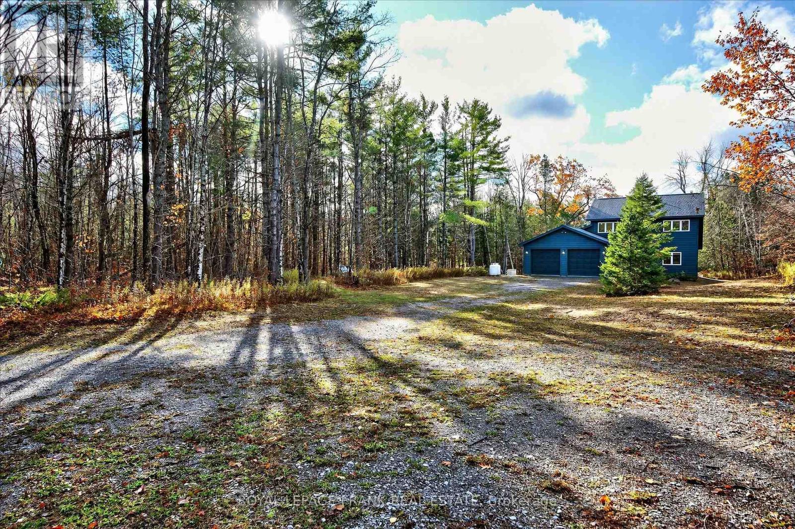 












299 FIRE ROUTE 10A

,
North Kawartha,




Ontario
K0L3G0

