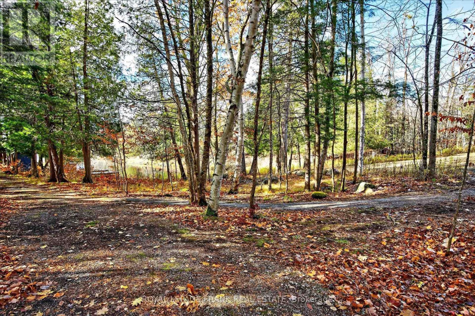 












299 FIRE ROUTE 10A

,
North Kawartha,




Ontario
K0L3G0

