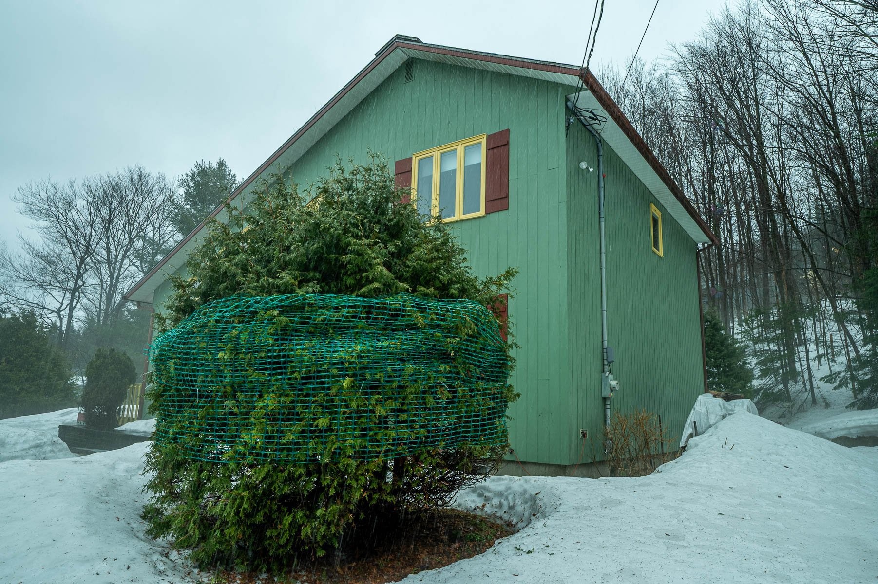 









20


Ch. des Couleurs

,
Saint-Sauveur,




QC
J0R1R2


