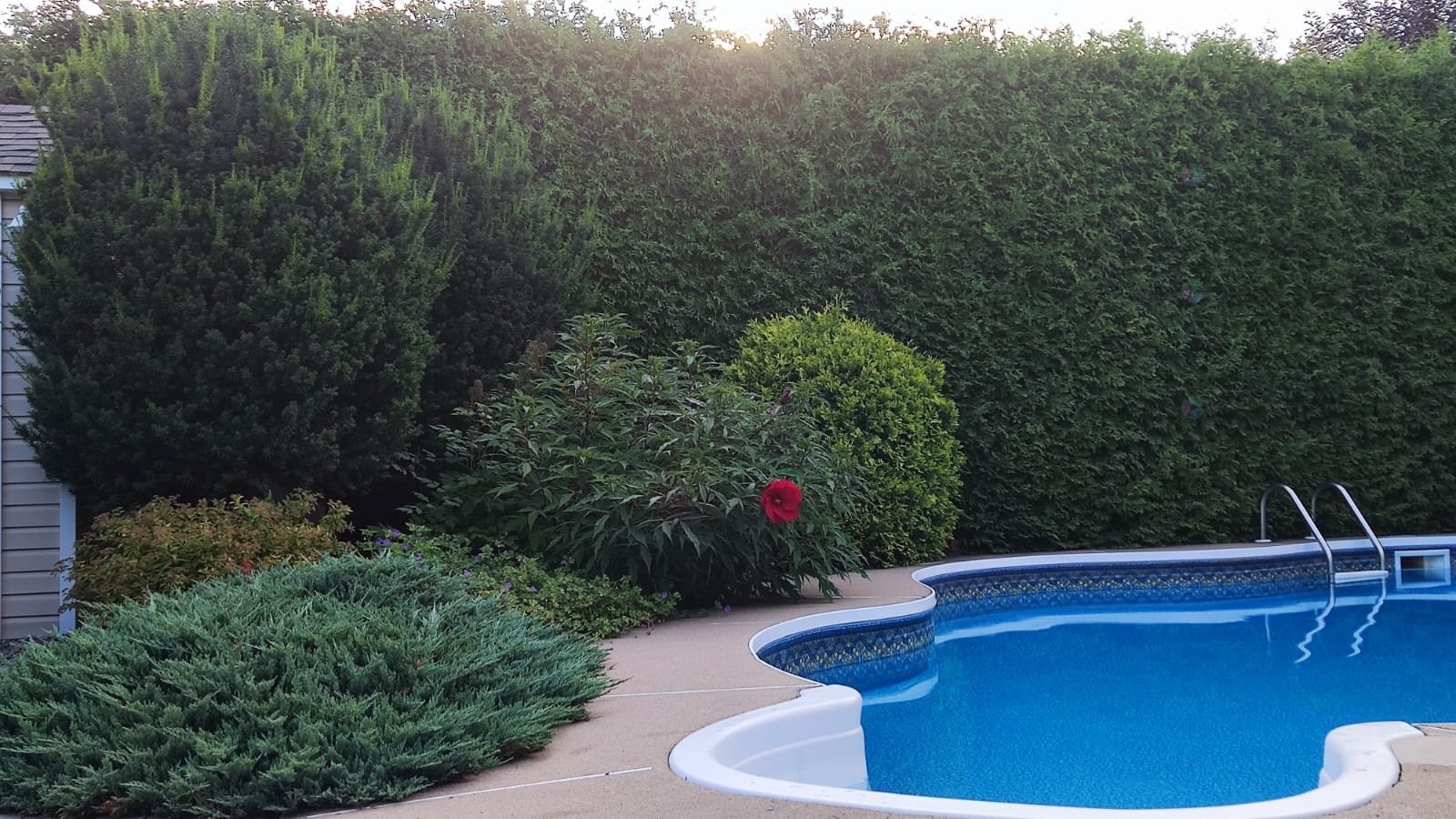 









2


Rue de l'Amandier

,
Saint-Constant,




QC
J5A2P5

