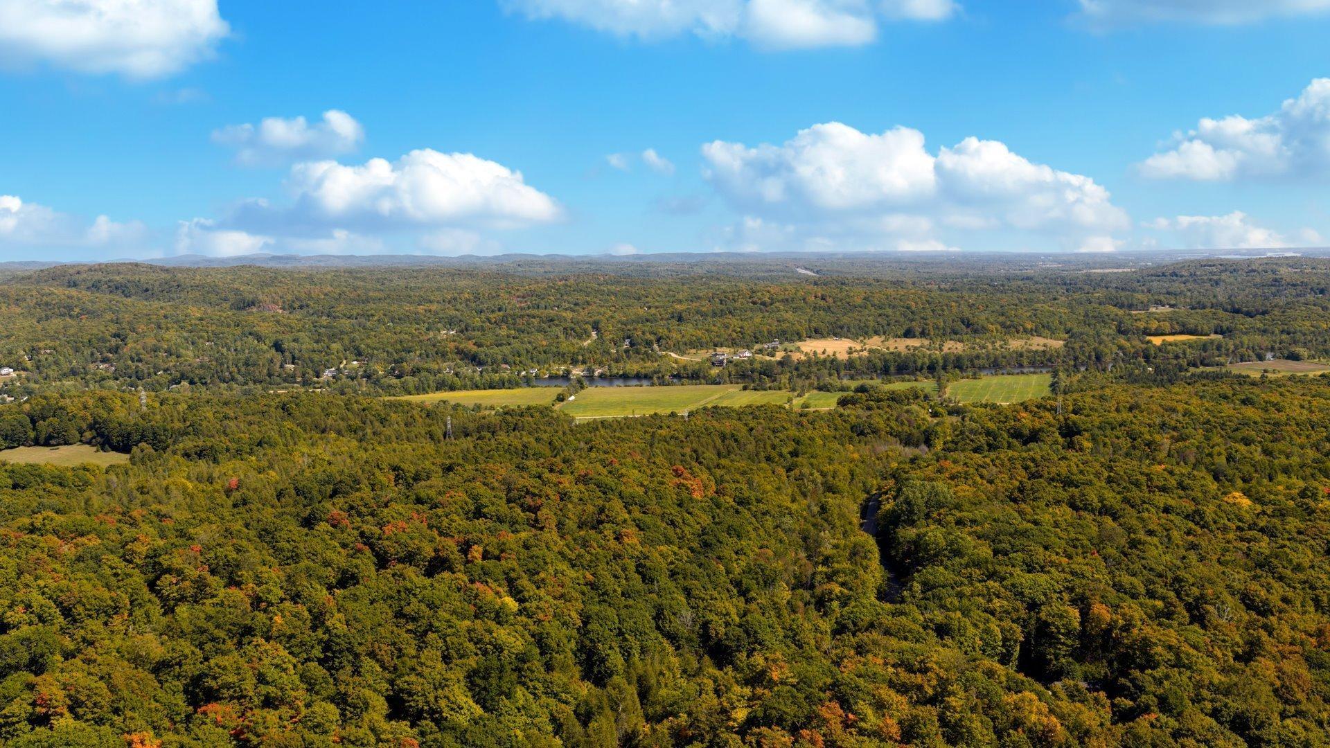 









2326


Ch. Lonsdale E.

,
L'Ange-Gardien,




QC
J8L0G1

