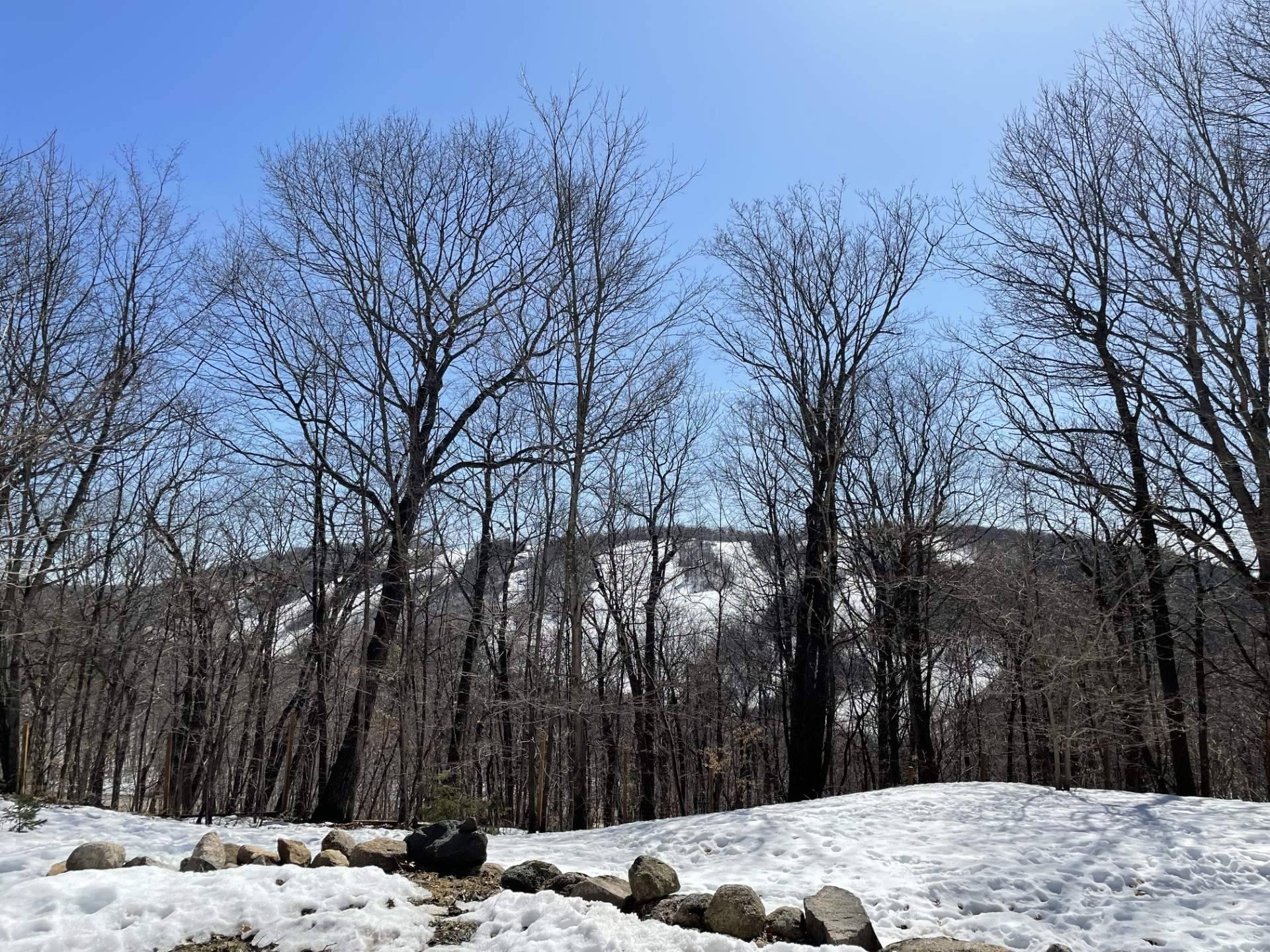 









17


Rue Alta Ridge

,
Cantley,




QC
J8V3B2

