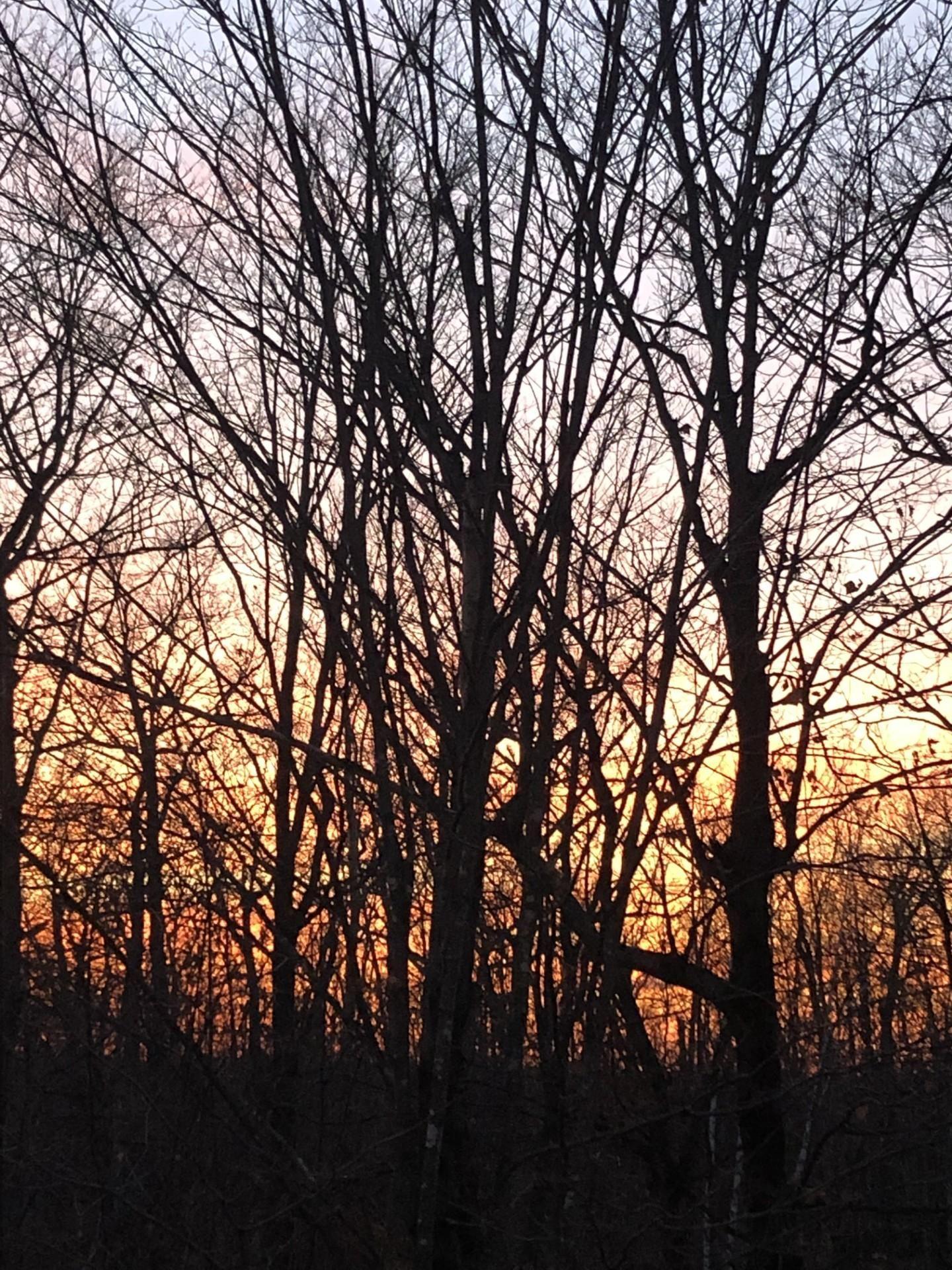 









17


Rue Alta Ridge

,
Cantley,




QC
J8V3B2

