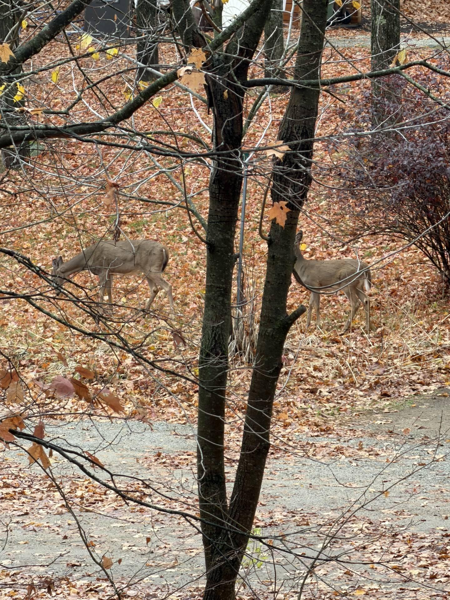 









17


Rue Alta Ridge

,
Cantley,




QC
J8V3B2

