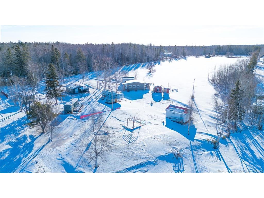 









51


Emile-Normand

LANE,
Landry Office,




NB
E8P 2G8

