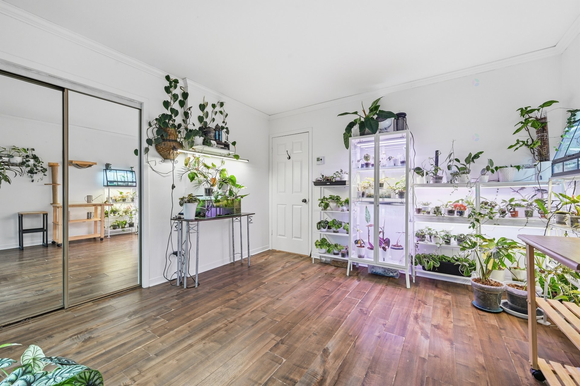 









943


Rue Rabelais

,
Mont-Saint-Hilaire,




QC
J3H4T9

