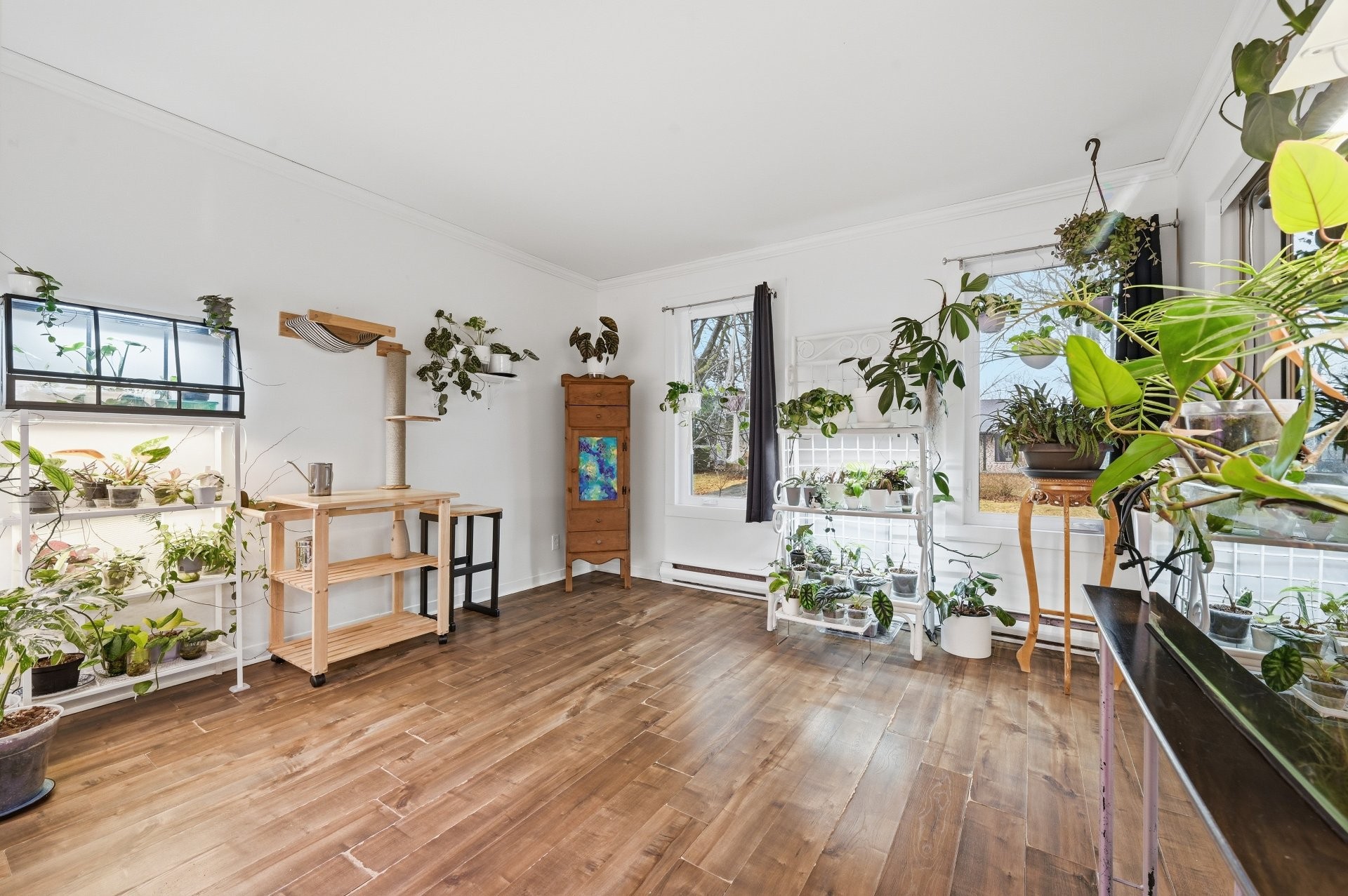 









943


Rue Rabelais

,
Mont-Saint-Hilaire,




QC
J3H4T9

