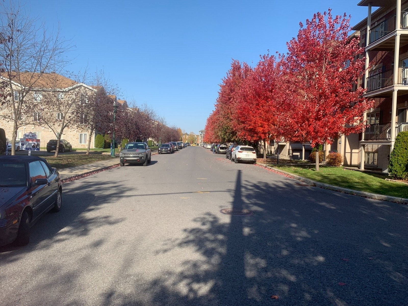 









2293


Rue Racine

, 402,
Longueuil (Saint-Hubert),




QC
J3Y0B6

