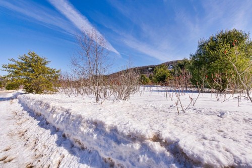 Photo de l'inscription vedette 