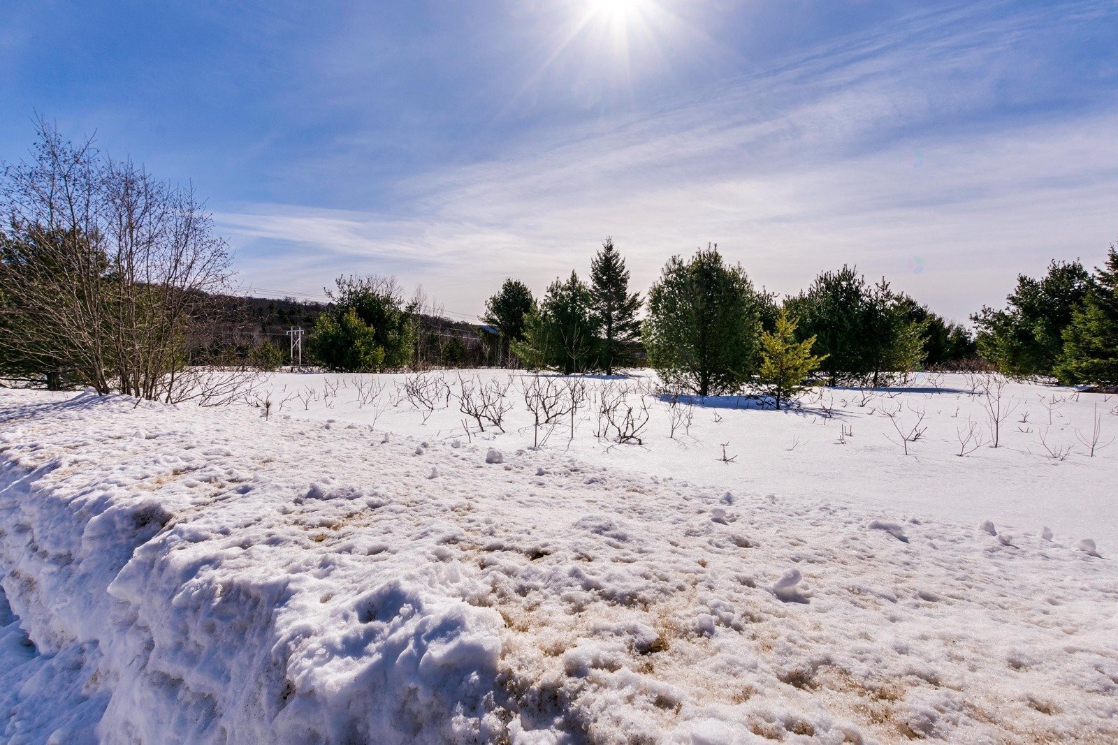 









16


Ch. du Tournesol

, 1,
Notre-Dame-du-Laus,







QC
J0X2M0

