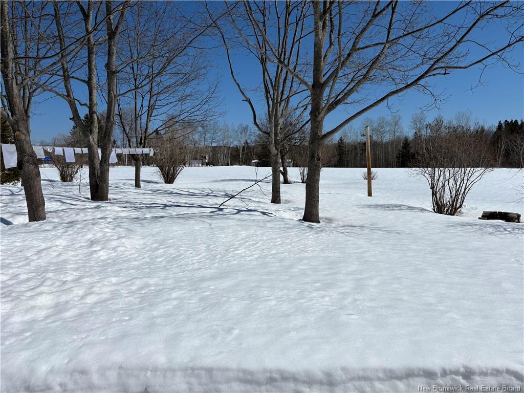 









23173


Route 134

,
Nash Creek,




NB
E8G 1B7

