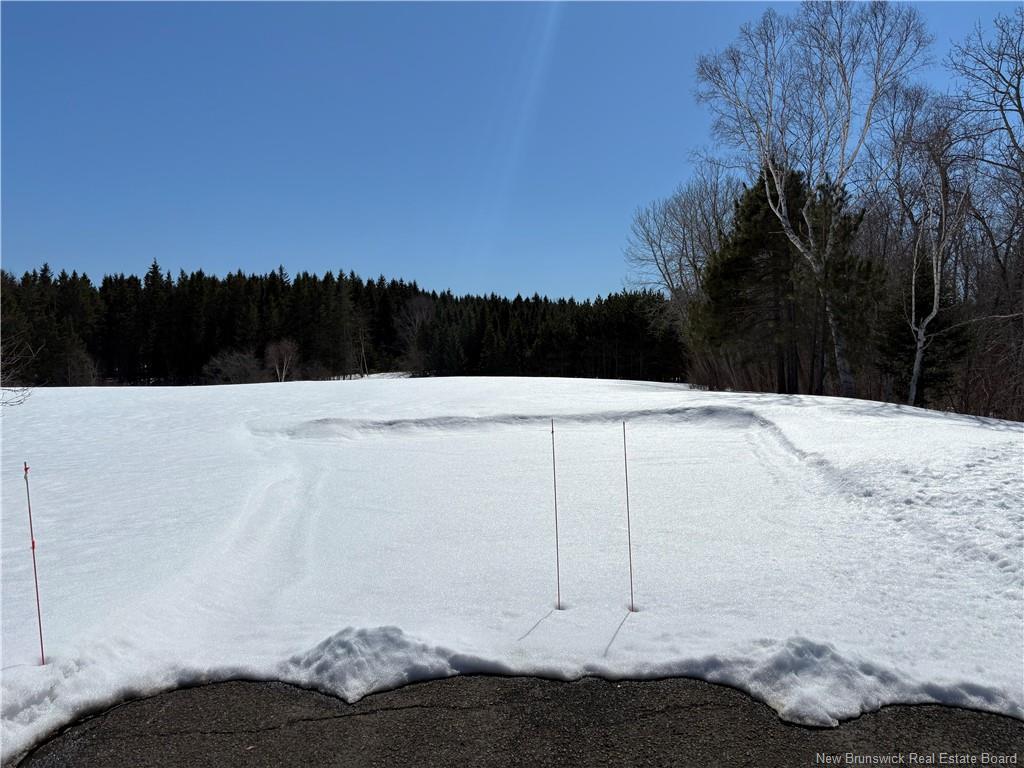 









23173


Route 134

,
Nash Creek,




NB
E8G 1B7

