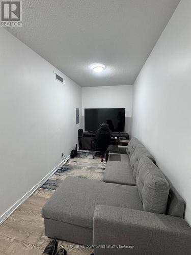 Large Den