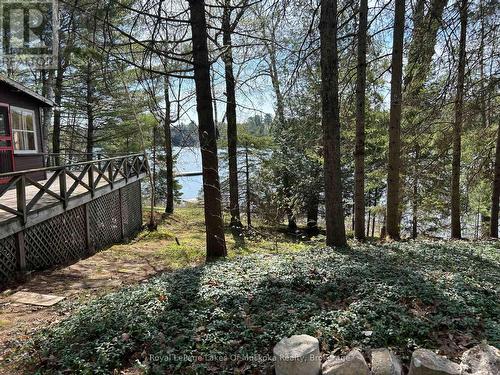 Welcome to Tooke Lake