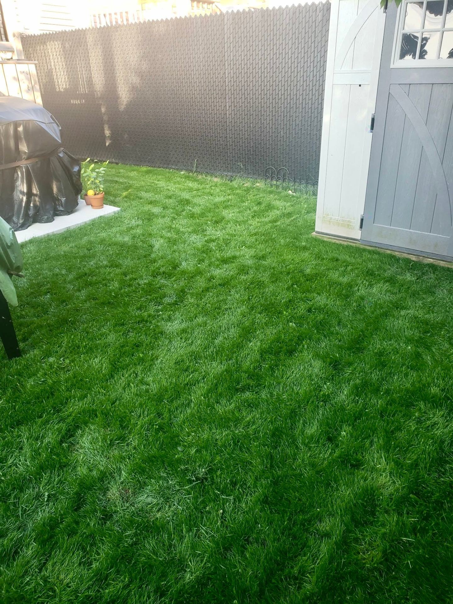 









331


Rue des Bruants

,
Pincourt,




QC
J7W9Y2

