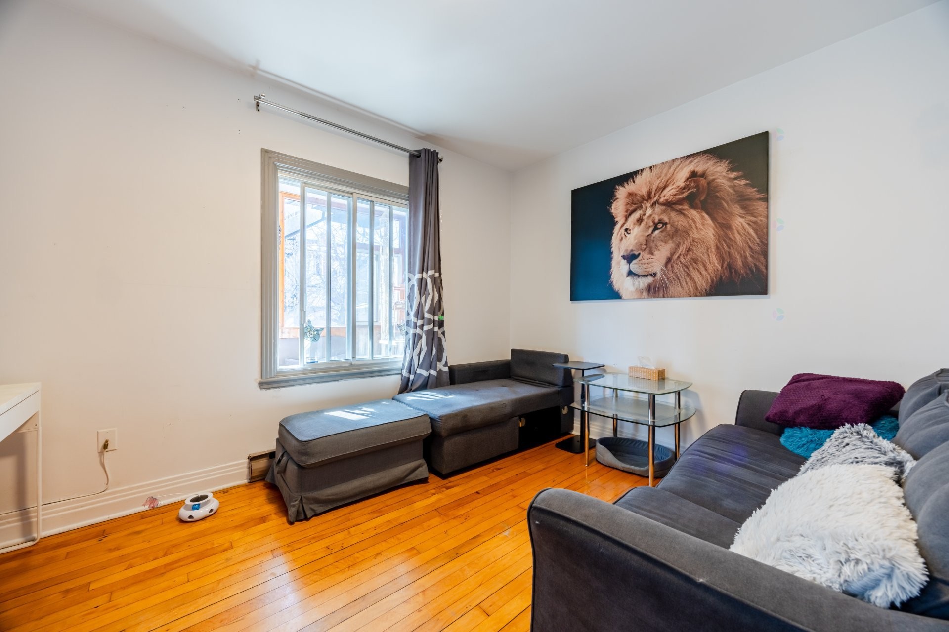 









6526


30e Avenue

,
Montréal (Rosemont/La Petite-Patrie),




QC
H1T3G6

