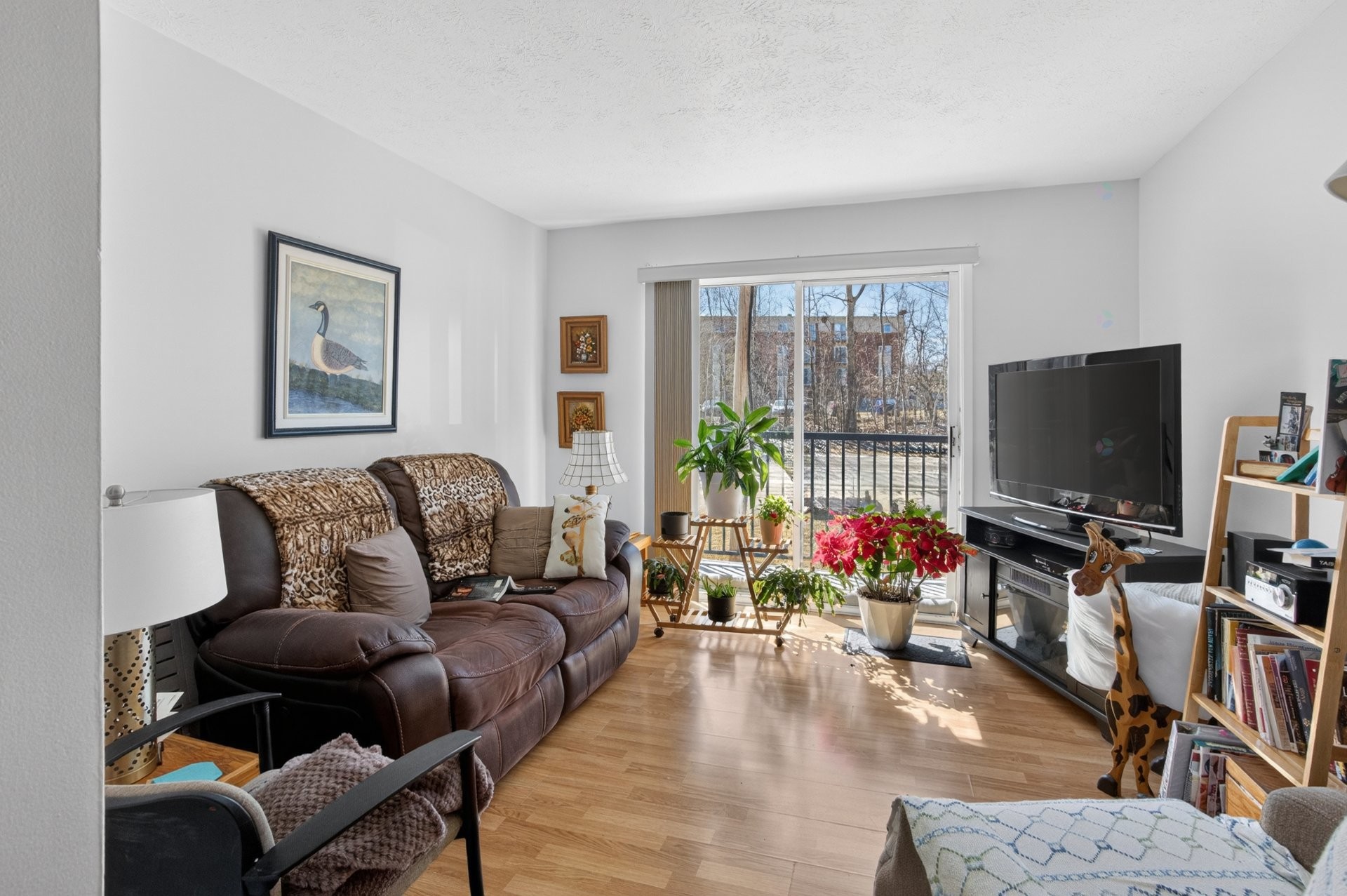









915

 - 950


Rue des Blés

,
Sherbrooke (Fleurimont),




QC
J1E3J8

