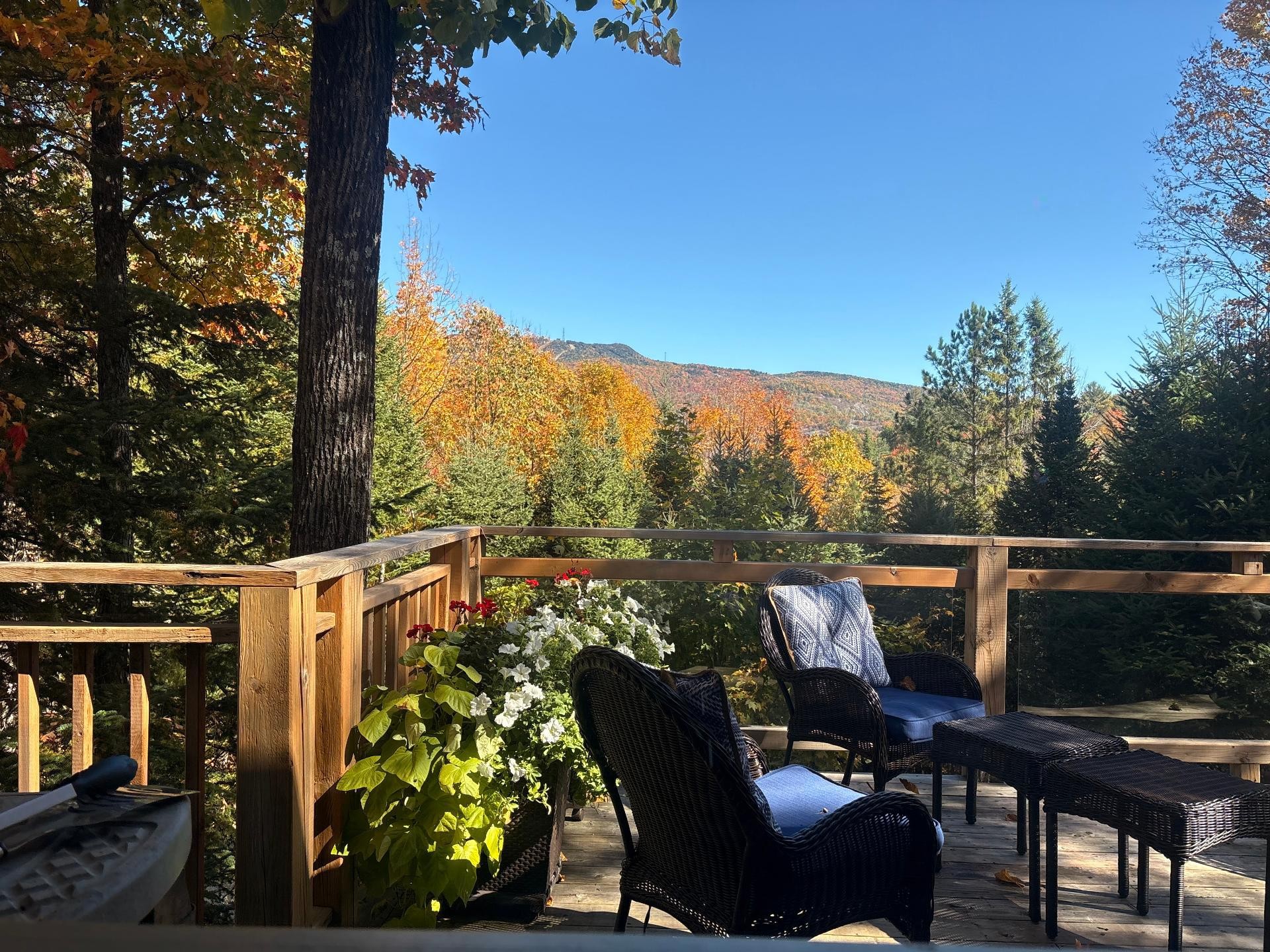 









177


Rue Cachée

,
Mont-Tremblant,




QC
J8E1G9

