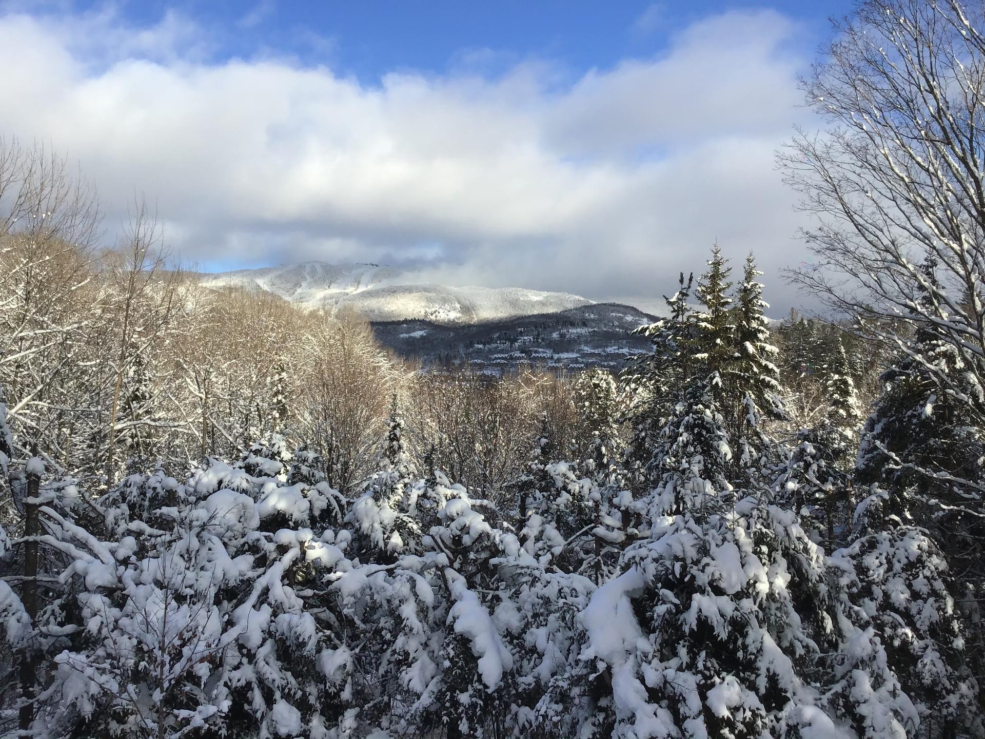 









177


Rue Cachée

,
Mont-Tremblant,




QC
J8E1G9


