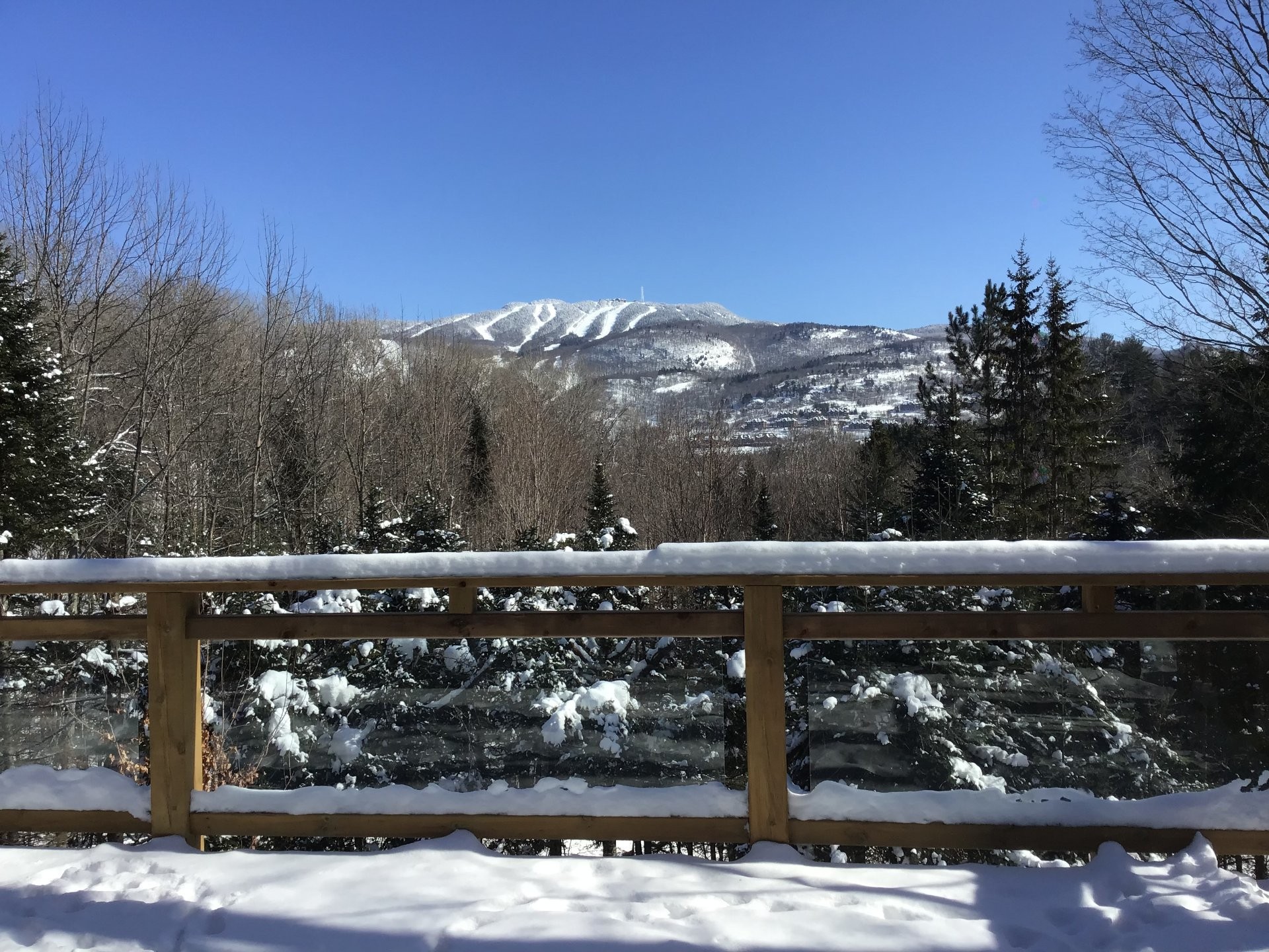 









177


Rue Cachée

,
Mont-Tremblant,




QC
J8E1G9

