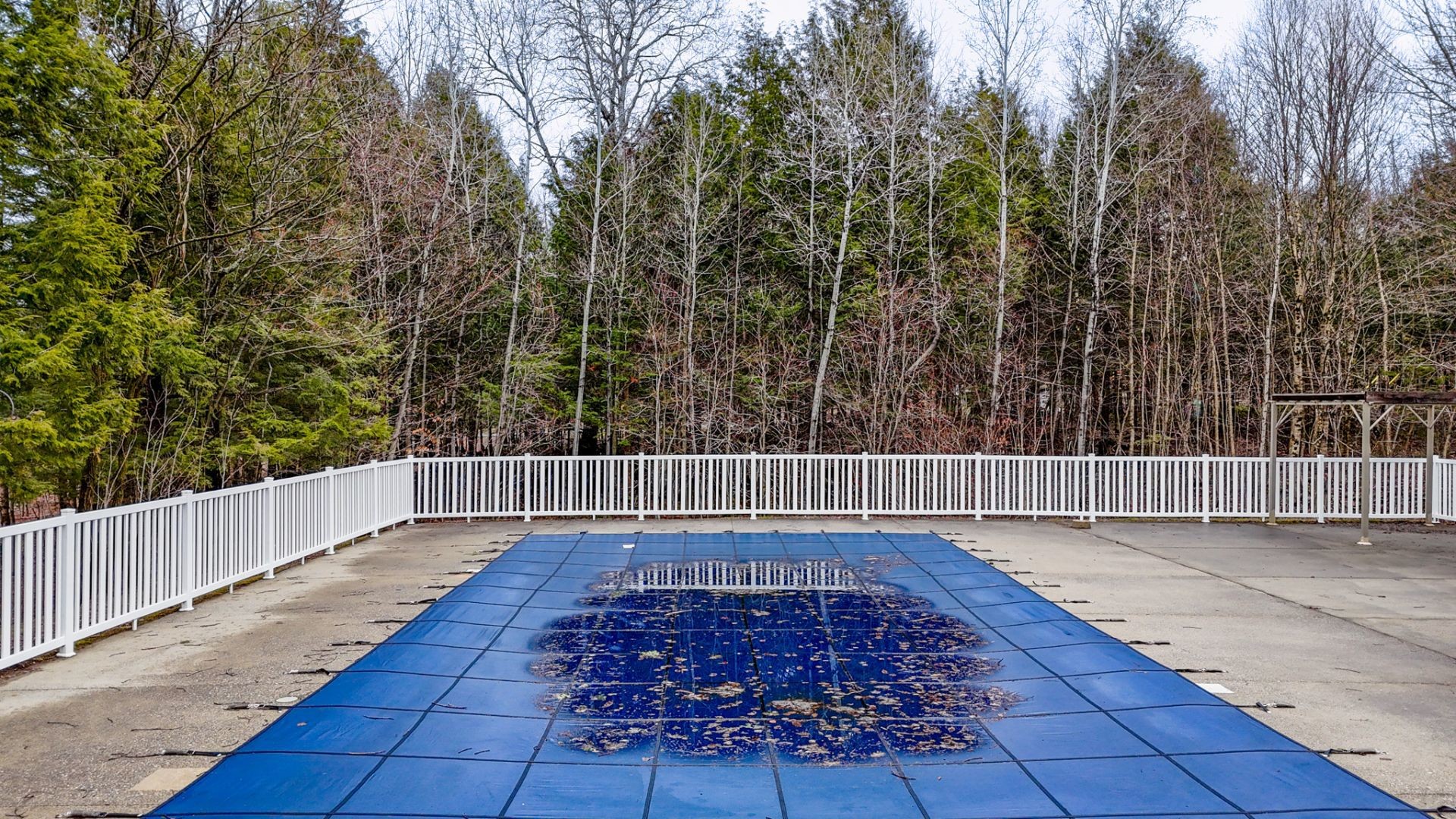 









31


Rue du Sirocco

,
Orford,




QC
J1X7H1

