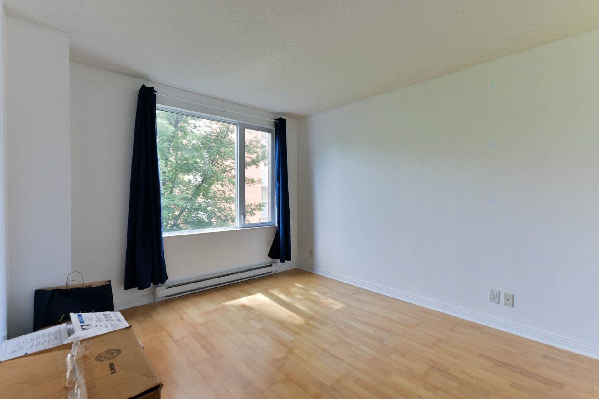 









1225


Rue Notre-Dame O.

, 306,
Montréal (Ville-Marie),




QC
H3C6S3

