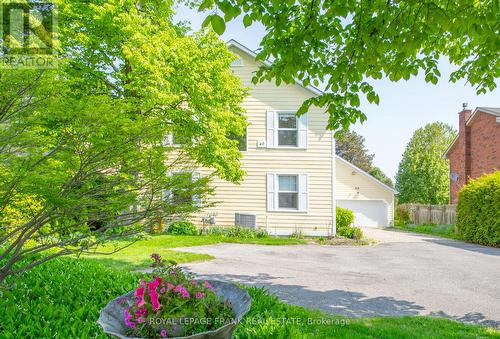 Front Gardens & Parking