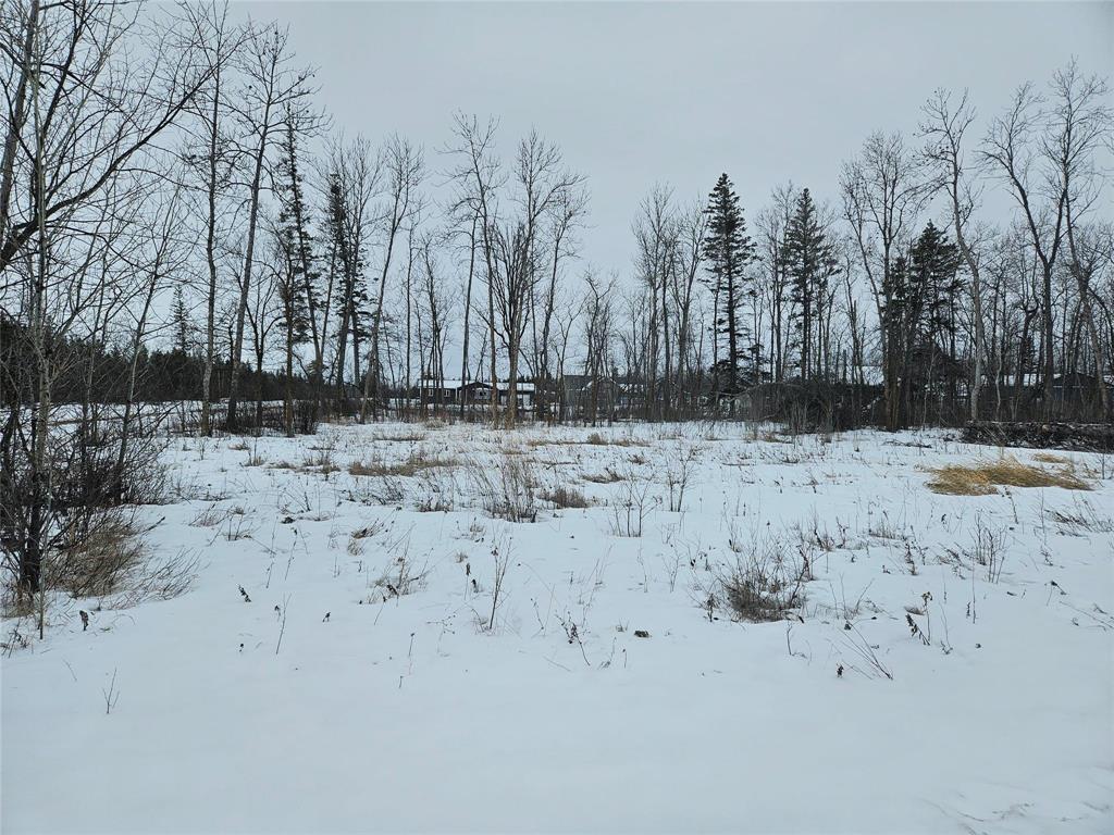 












6 Honeyborough Lane

,
Gimli Rm,







Manitoba
R0C1B0

