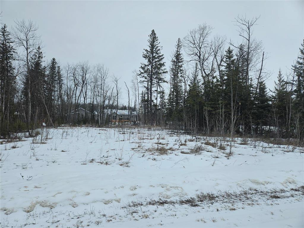












5 Honeyborough Lane

,
Gimli Rm,







Manitoba
R0C1B0


