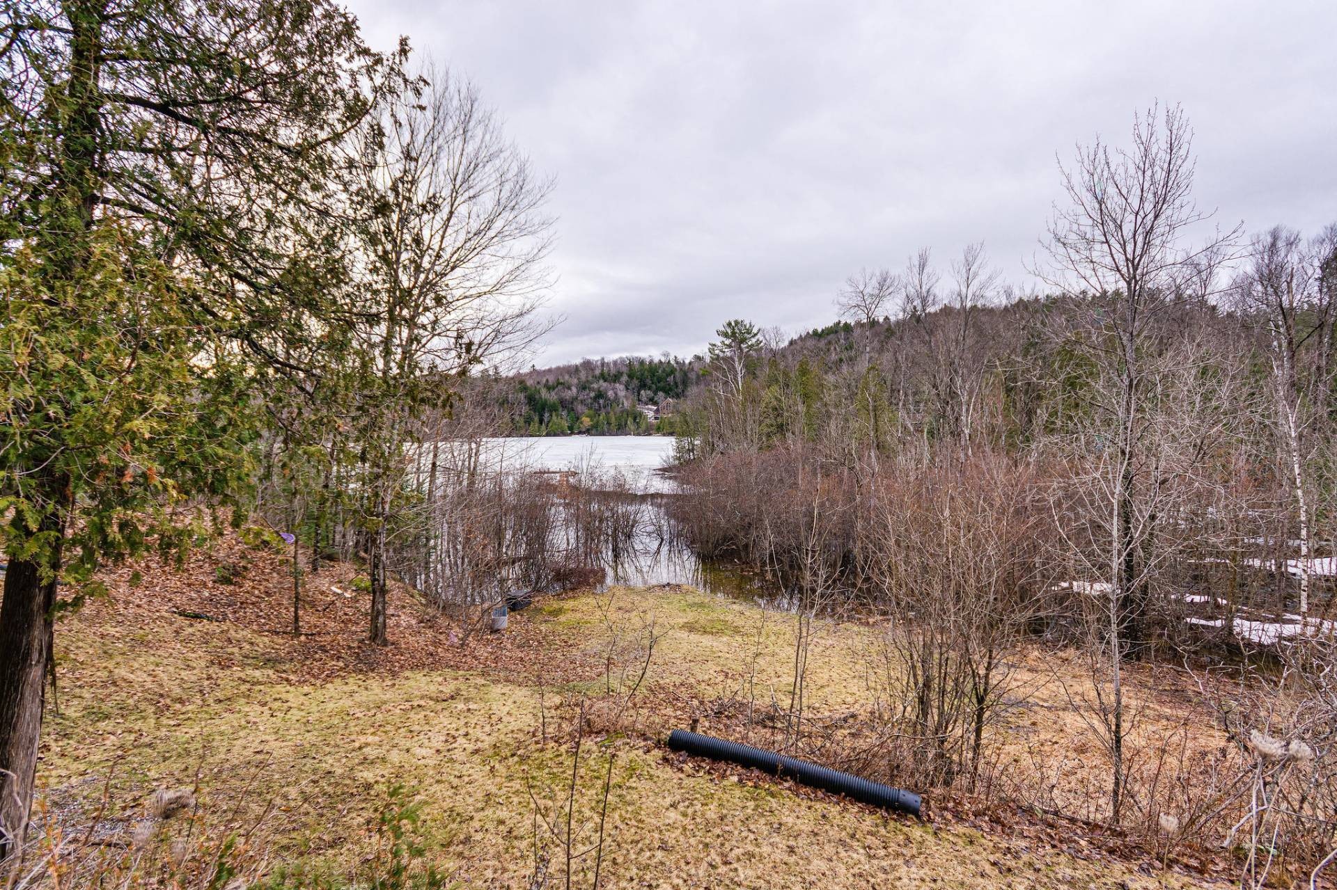 









160


Ch. Blackburn

,
Val-des-Monts,




QC
J8N6A9

