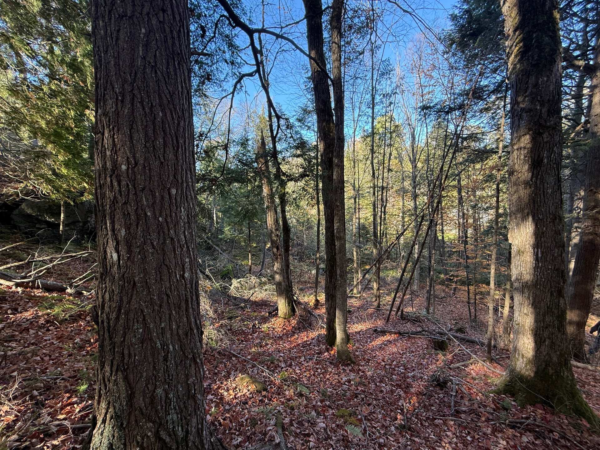 









3


Ch. du Lac-du-Brochet

,
Bowman,







QC
J0X3C0

