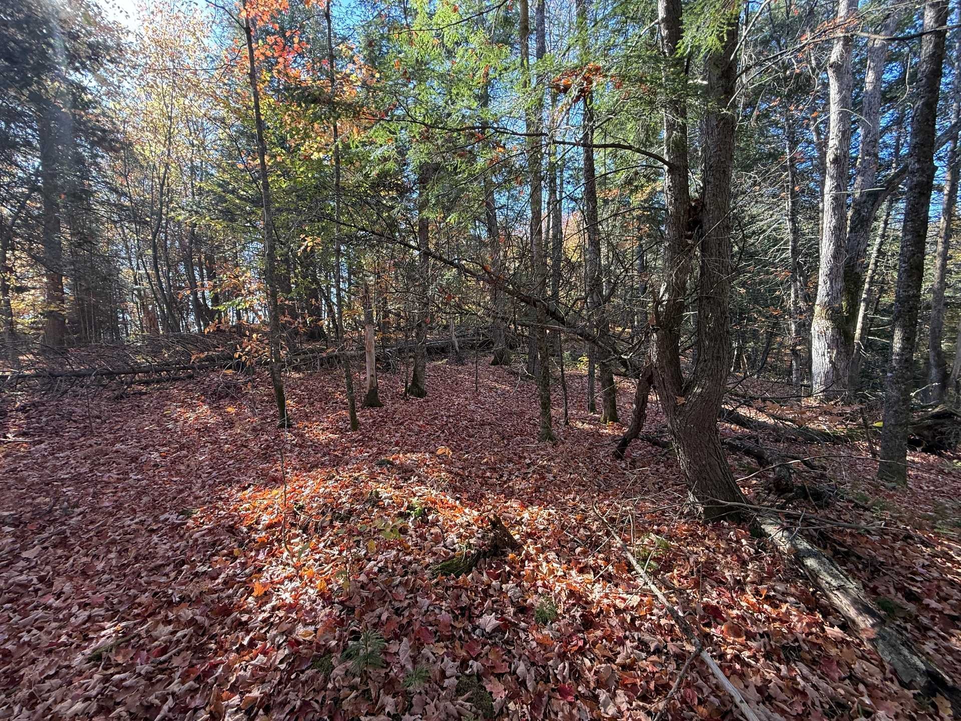 









3


Ch. du Lac-du-Brochet

,
Bowman,







QC
J0X3C0

